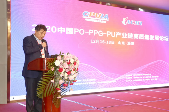 山東藍星東大有限公司總工程師、總經(jīng)理助理郭輝